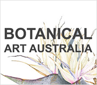 Botanical Art Australia Leonie Norton